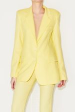 Erica Blazer - Image 3